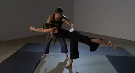Cameron Shayne - Budokon DVD Set (2007)