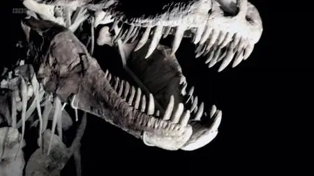 BBC Horizon - Dinosaurs: The Hunt for Life (2014)