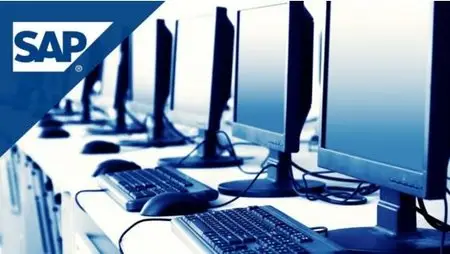 Learn SAP MM