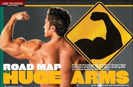 ROAD MAP TO HUGE ARMS