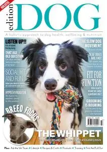 Edition Dog - Issue 26 - 24 December 2020