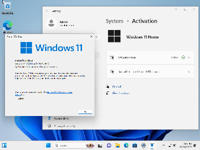 Windows 10 & 11 AIO 32in1 Multilingual (x64) Preactivated October 2023