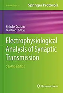 Electrophysiological Analysis of Synaptic Transmission