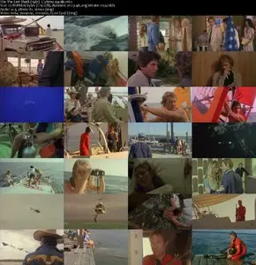 The Last Shark (1981) 