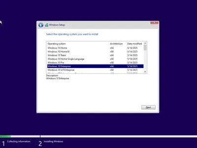 Windows 11 24H2 (No TPM Required) & Windows 10 22H2 AIO 32in1 Preactivated May 2025