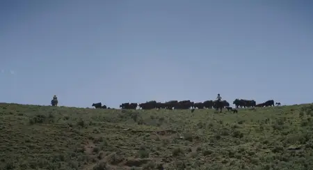 Bitterbrush (2022)