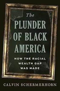 The Plunder of Black America: How the Racial Wealth Gap Was Made