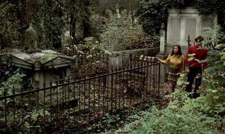 The Iron Rose (1973)