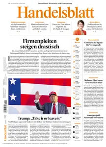Handelsblatt - 08 Juli 2025