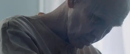 The Home (2025)