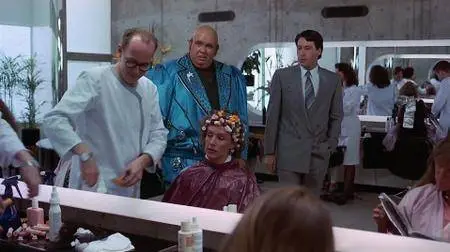 Who's Harry Crumb? (1989)