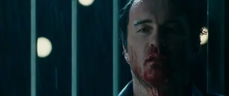 Faces in the Crowd - Frammenti di un Omicidio (2011)