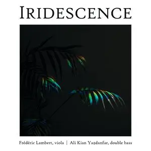 Frederic Lambert - Iridescence (2023) [Official Digital Download 24/96]