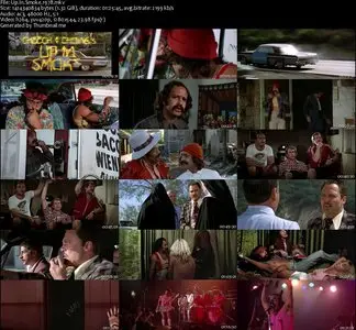 Up in Smoke (1978)