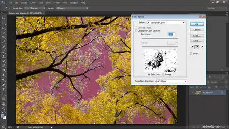 Photoshop CS6 Selections and Layer Masking Workshop