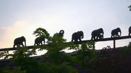 Mysteries Of The Mekong - The Journey Begins: China (2017)