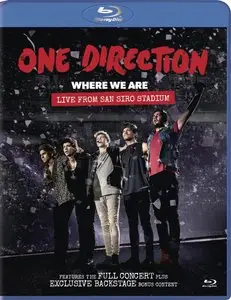 One Direction - Where We Are Live From San Siro Stadium (2014) [BDRip 1080p]