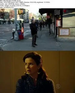 Blue Bloods S01E14