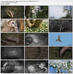 BBC Natural World - Badgers Secrets of the Sett, by David Attenborough (2008)