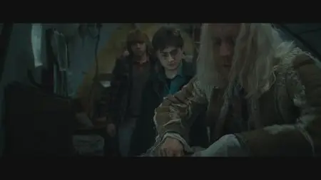 Harry Potter and the Deathly Hallows: Part I (2010)