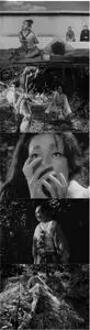 Rashomon (1950) [The Criterion Collection]