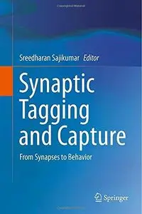 Synaptic Tagging and Capture: From Synapses to Behavior 