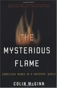 The Mysterious Flame: Conscious Minds In A Material World (Repost)
