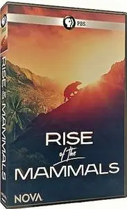 PBS - NOVA: Rise of the Mammals (2019)