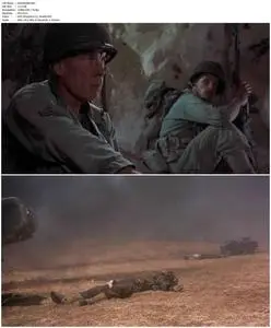 The Big Red One (1980)