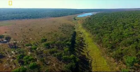 Into The Okavango (2018)