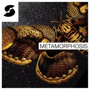 Samplephonics Metamorphosis MULTiFORMAT