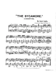 The Sycamore: A Concert Rag
