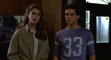 Endless Love / Un Amour infini (1981)