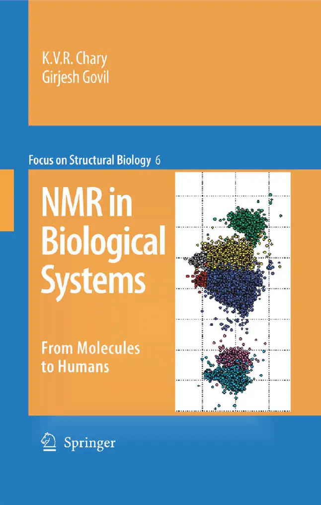 Focus structures