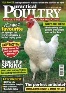 Practical Poultry - February 2016