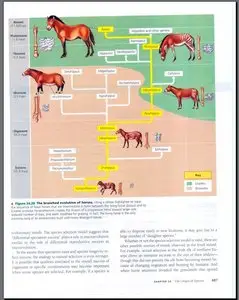 Biology, 7th Edition by Neil A. Campbell, Jane B. Reece