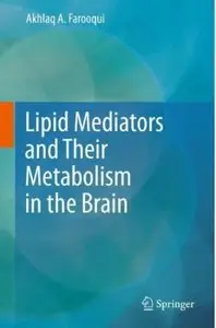 Lipid Mediators and Their Metabolism in the Brain