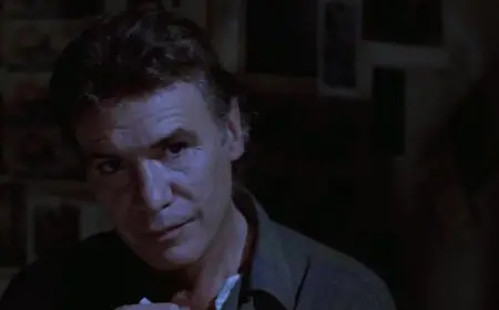 Pensione paura (1977)