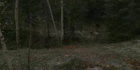 The Marsh (2002)