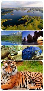 Wallpapers - Nature and animals 5