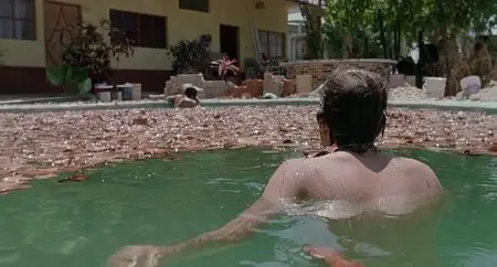 Y Tu Mama Tambien (2001)