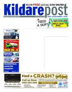 Kildare Post - 20 December 2017