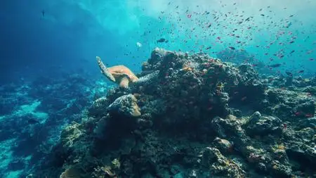 A World of Calm S01E01
