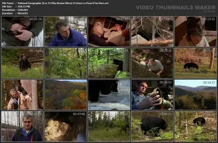 National Geographic : Dans la peau d'un ours