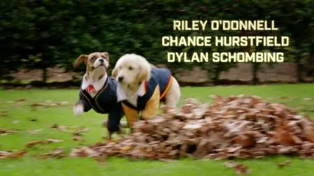 Pup Academy S01E16