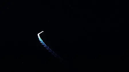 Deep Blue (2003)