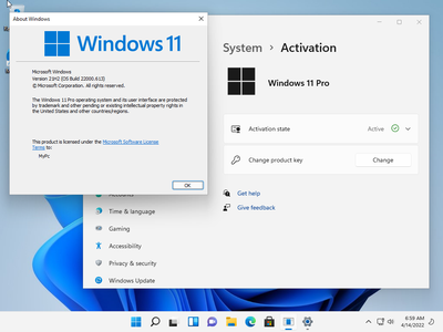 Windows 11 Pro 21H2 Build 22000.613 (x64) (No TPM Required) Multilingual Preactivated