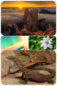 Beautiful Mixed Wallpapers Pack 381