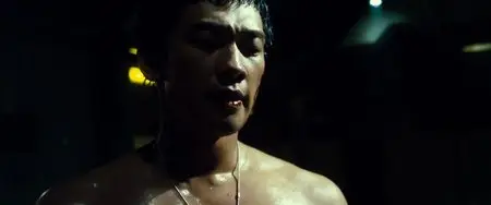 Soar Into the Sun (2012)