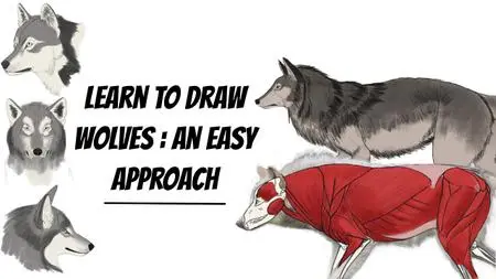 Learn To Draw Wolves: An Easy Approach